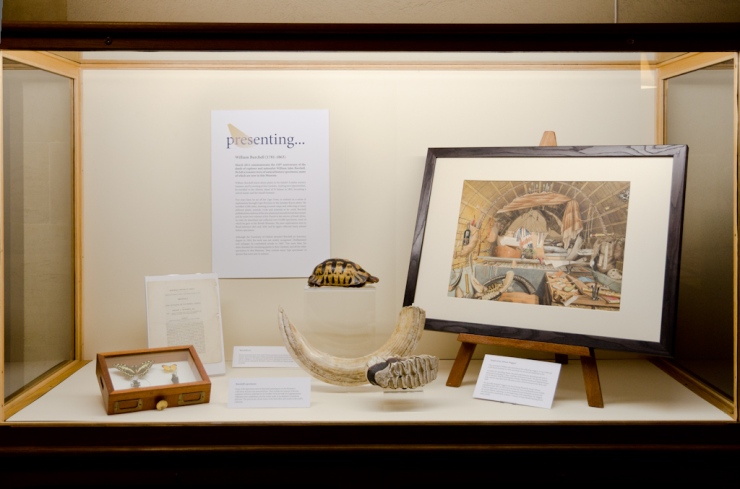 Presenting... William Burchell display in the Museum