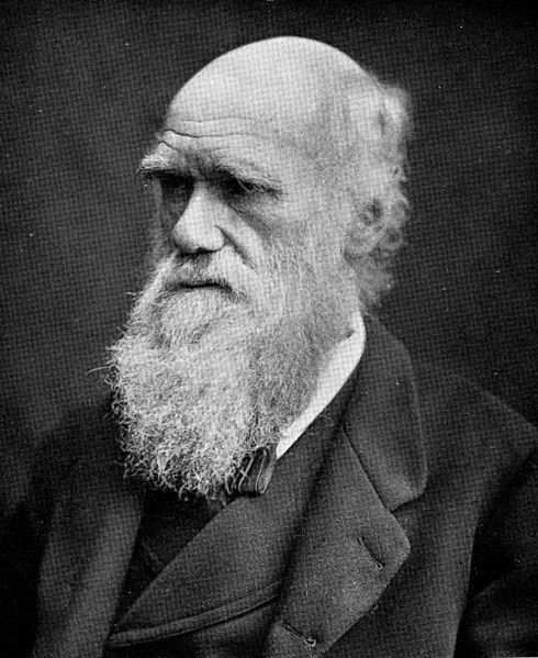 charles-darwin-wellcome-images
