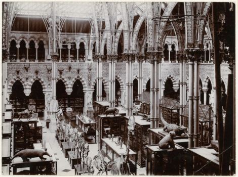 The Museum in 1890
