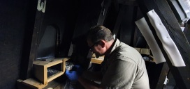 Chris Jarvis cleaning the nest box in the Museum Tower Room